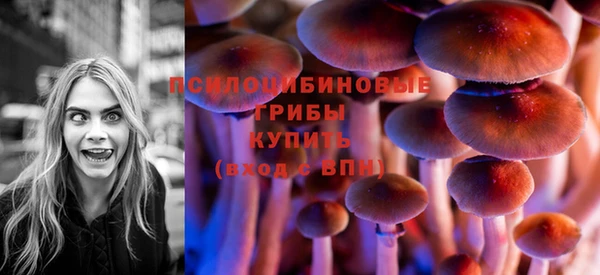 круглые Няндома