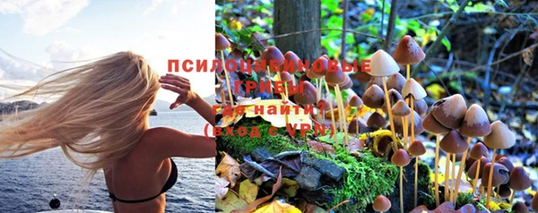 каннабис Оленегорск